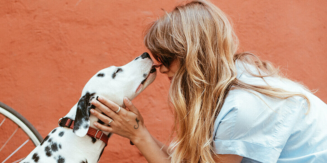 veterinary-3-portfolio-3-1140x570-4