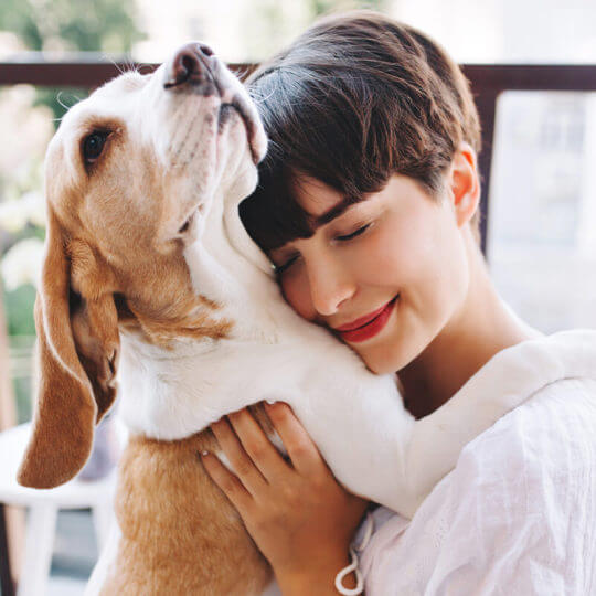 veterinary-3-portfolio-3-1140x570-5